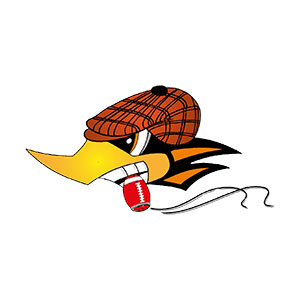 Vogtland Rebels e.V.